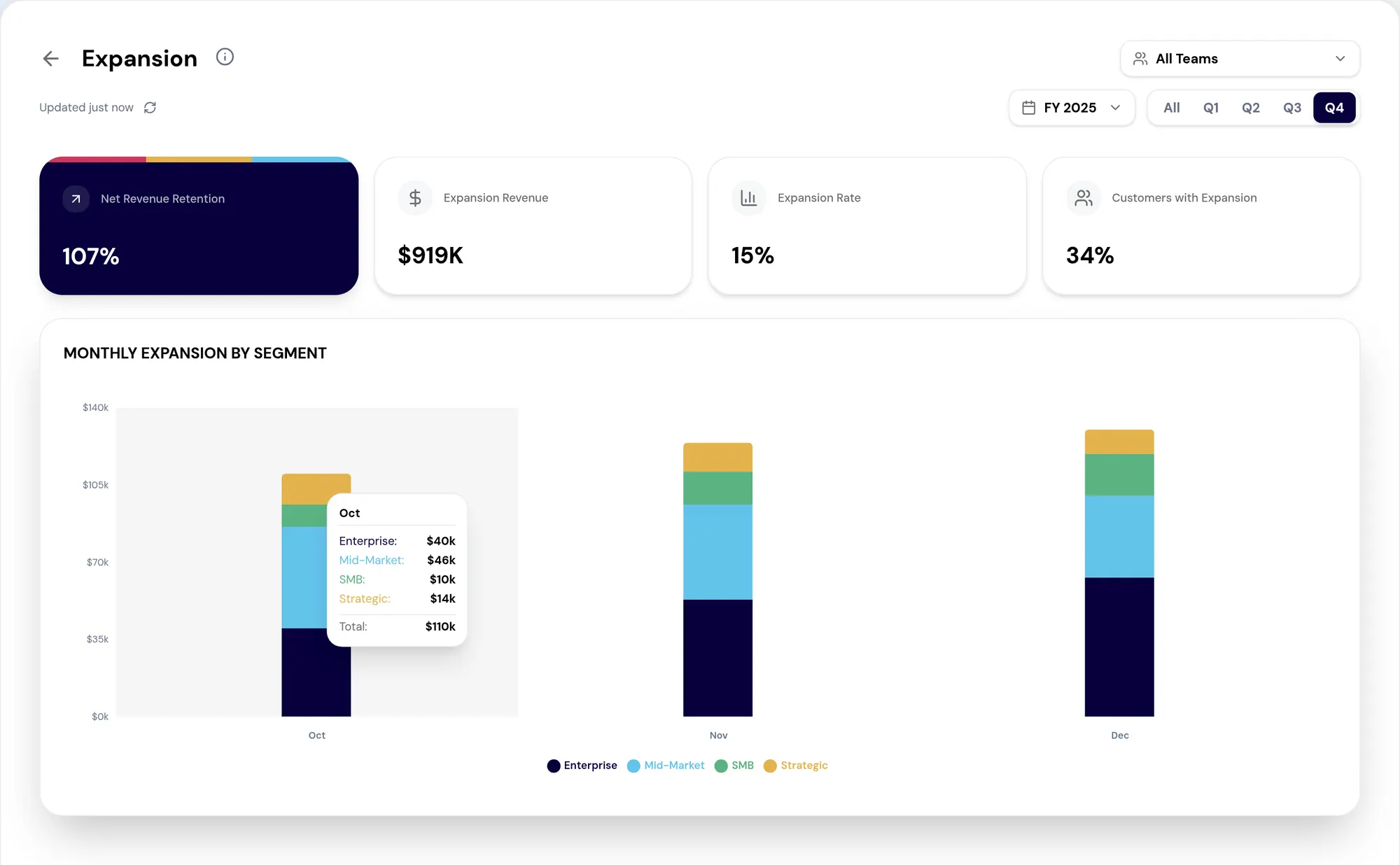 Expansion reporting in RevTech: net revenue retention and expansion by segment.